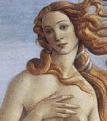 Kopf der Venus von Boticelli